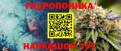 МДПВ Лесосибирск
