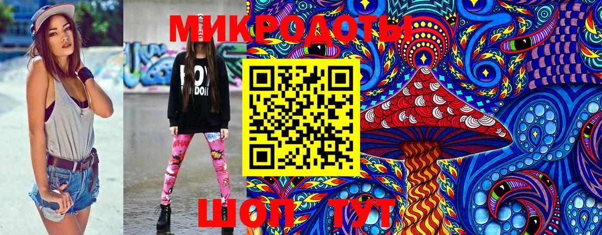 Галлюциногенные грибы Psilocybine cubensis Губаха