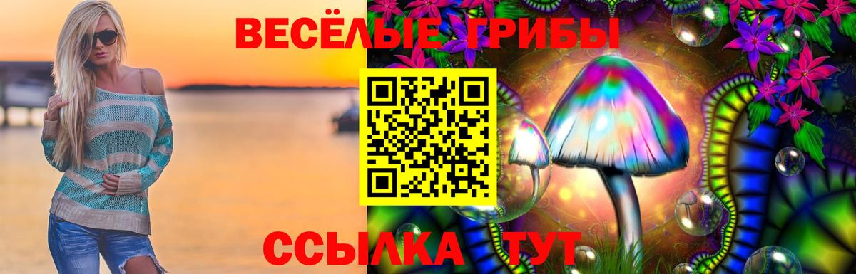 Псилоцибиновые грибы Psilocybe  Вход с VPN  Губаха 